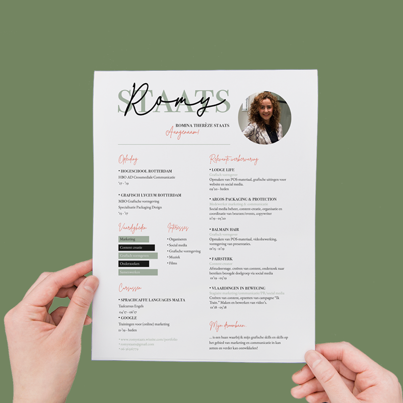 Grafisch Opmaak CV Infographic
